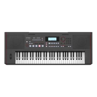 Clavier arrangeur Roland E-X50