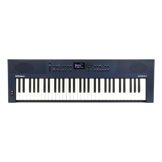 Autre vue du Clavier arrangeur Roland GO:KEYS 3