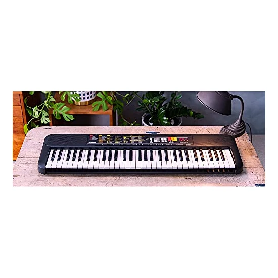 Autre vue du Clavier arrangeur Yamaha PSR-F52