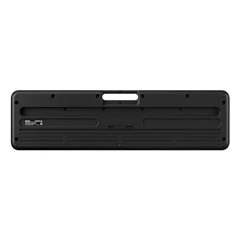 Autre vue du Clavier arrangeur Casio Casiotone CT-S100