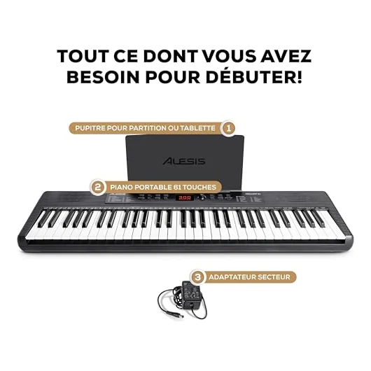 Autre vue du Clavier arrangeur Alesis Melody 61 MK4