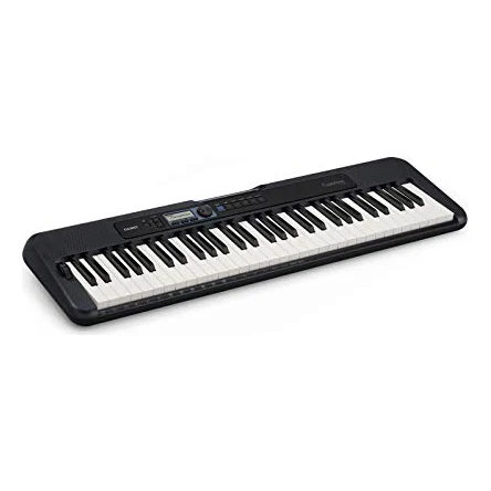 Autre vue du Clavier arrangeur Casio Casiotone CT-S300