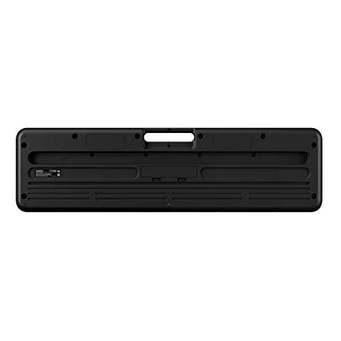 Autre vue du Clavier arrangeur Casio Casiotone CT-S300